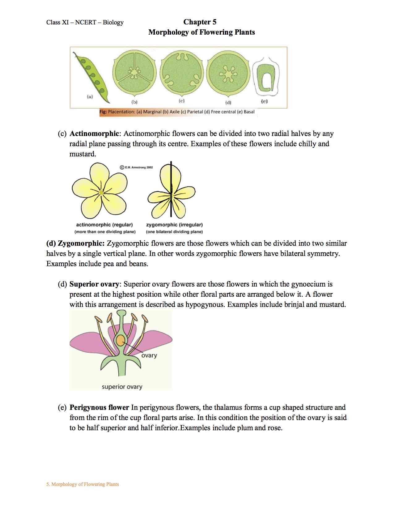 Morphology Of Flowering Plants Chapter Notes Class 11 - vrogue.co