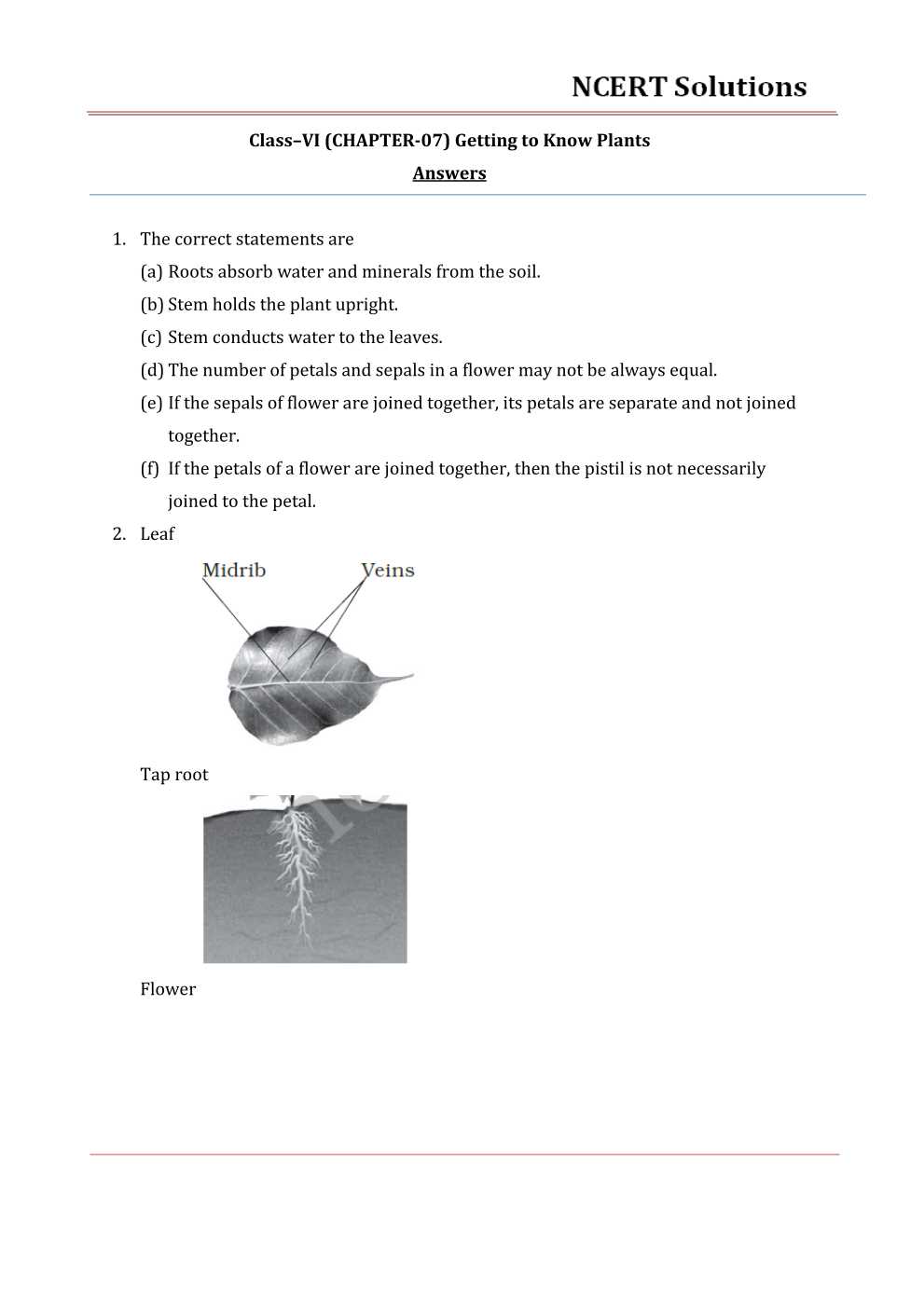 NCERT Solutions For Class 6 Science Chapter 7
