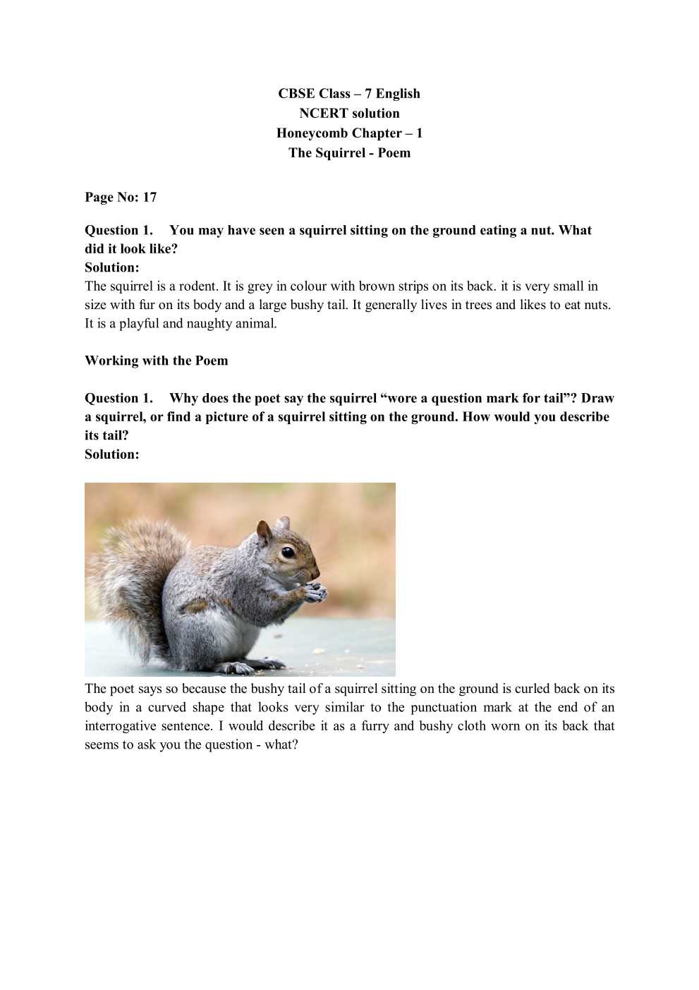 NCERT Solutions For Class 7 English Honeycomb Poem Chapter 1 The Squirrel