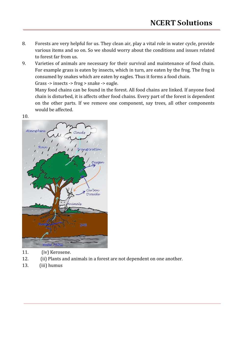 NCERT Solutions For Class 7 science Chapter 17 Forests – Our Lifeline