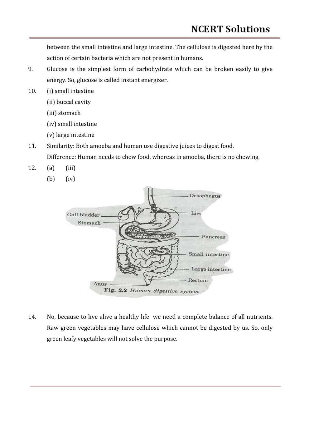 case study questions class 7 science chapter 2